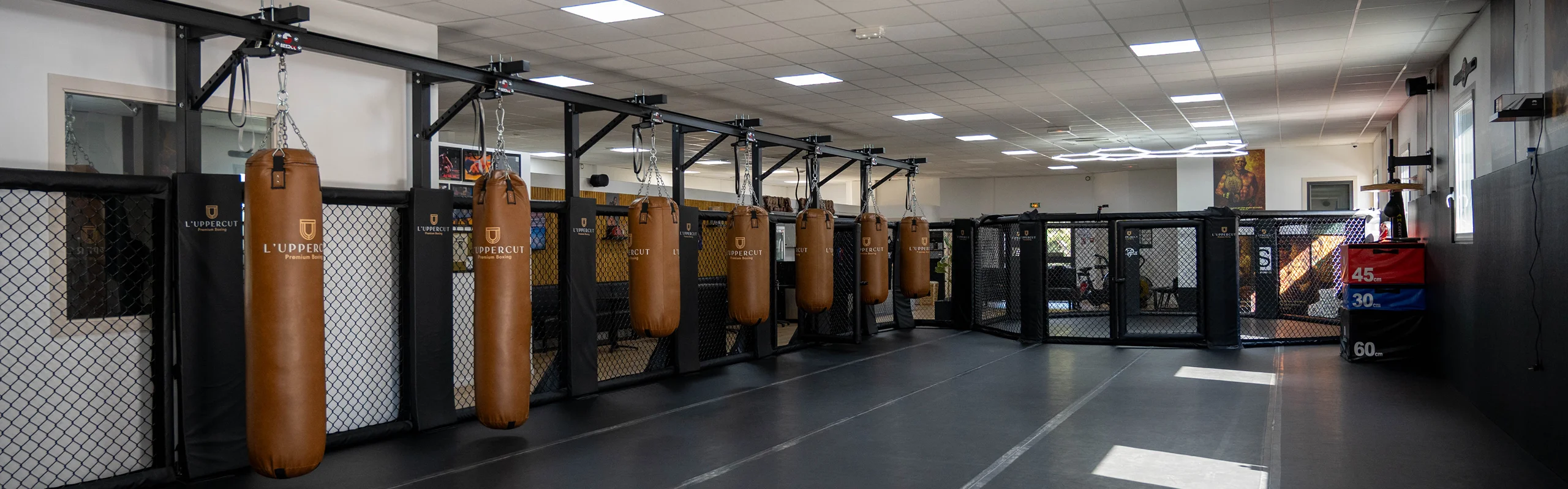 Entraînement MMA Azur Sport et Performance